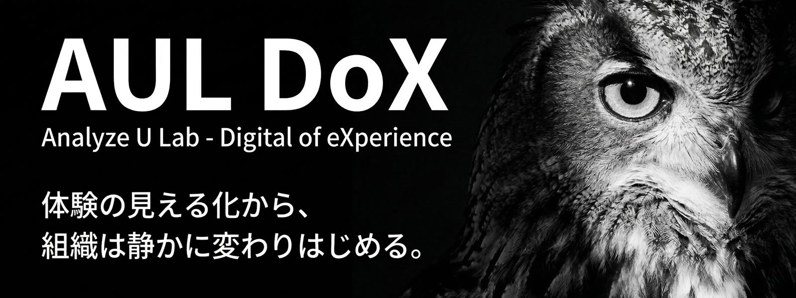 静かにこちらを見つめるフクロウ